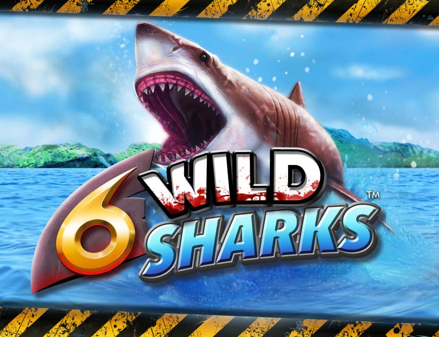 6 Wild Sharks